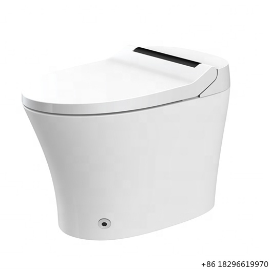 Home Bathroom Ware - Penutup Kloset Pintar Bidet Elektrik Pemasangan